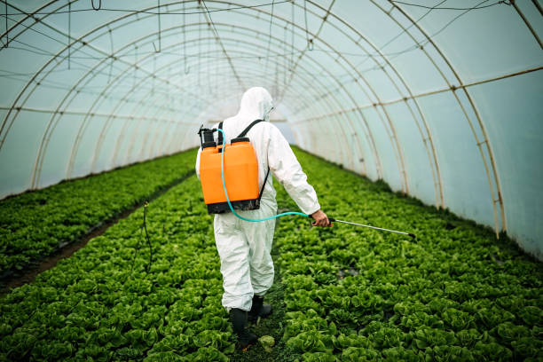 Best Best Pest Control Companies  in Jacksonville, FL